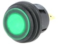 Intrerupator apasare, 2 pozitii, OFF-ON, 6A, 250VAC, 3 pini, SPST-NO, verde, IP65, orificiu montare Ø20.2mm, R13527D2B02BG