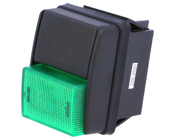 Intrerupator apasare, push, DPST, OFF-ON, 10A, negru/verde, R13-537B-01-B/G