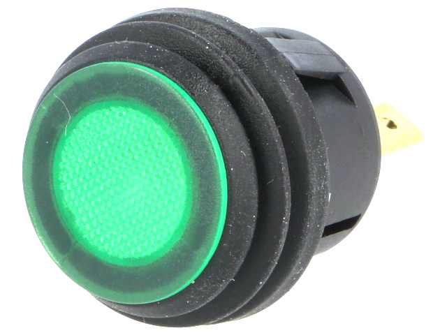 Intrerupator apasare, 2 pozitii, OFF-ON, 6A, 250VAC, 3 pini, SPST-NO, verde, IP65, orificiu montare Ø20.2mm, R13527D2B02BG
