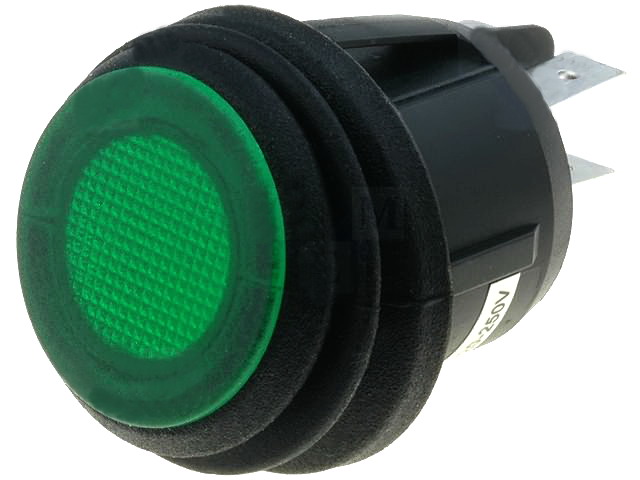 Intrerupator basculant, OFF-ON, 10A, IP65, DPST, orificiu montare Ø20.2mm, R13244B802G