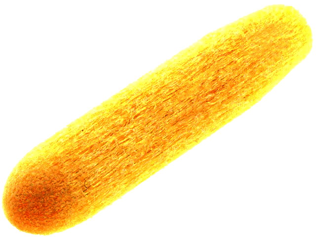 Varf rotund; marker flux, pentru FIS-BUT si FIS-PEN; FIS-AB